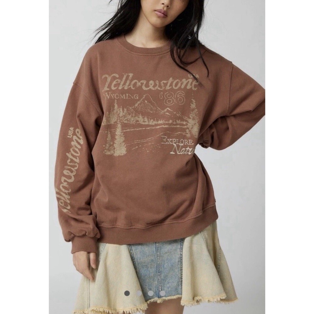 Urban Outfitters Brown Yellowstone Graphic Sweatshirt